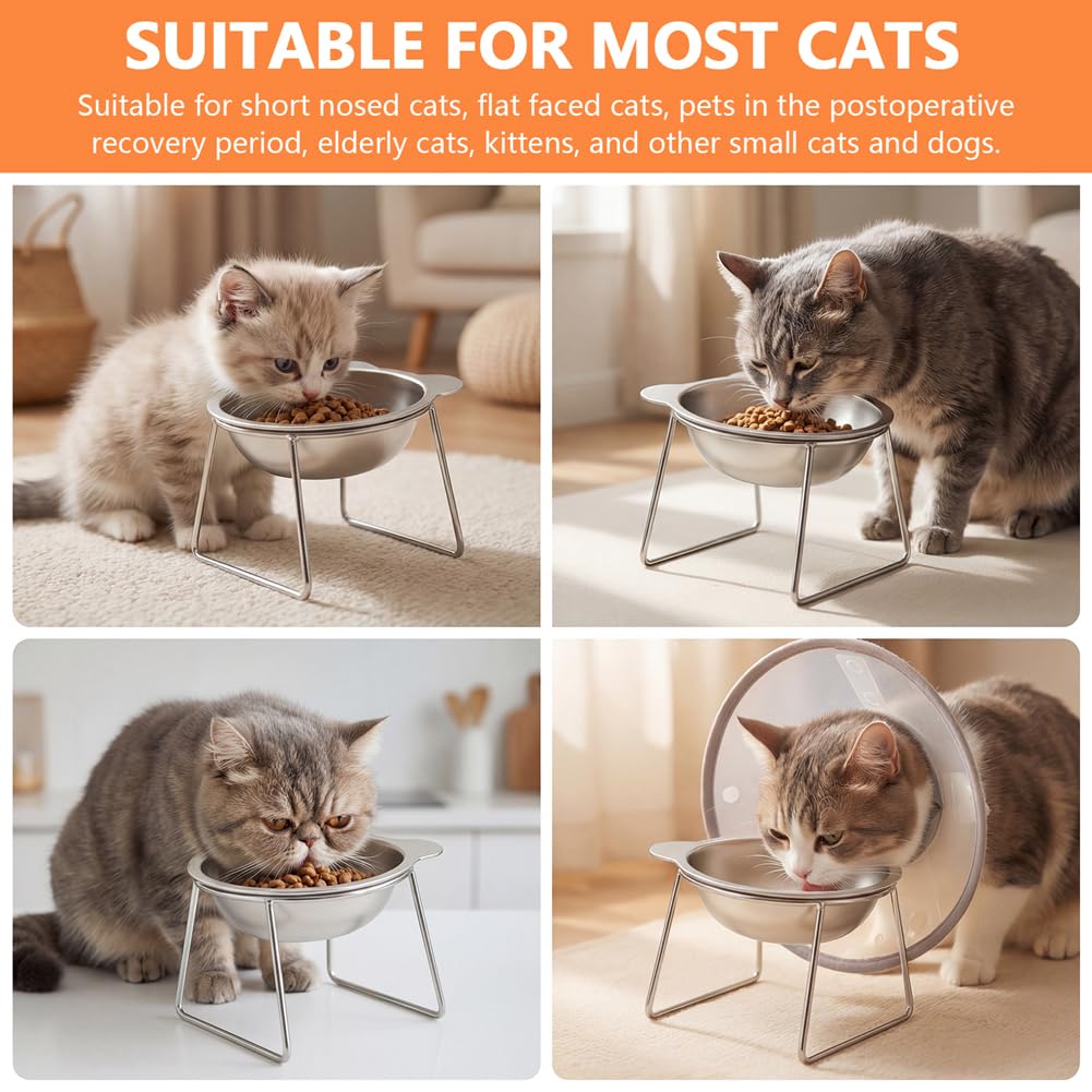 2 Pack Stainless Steel Elevated Cat Bowls Q4643