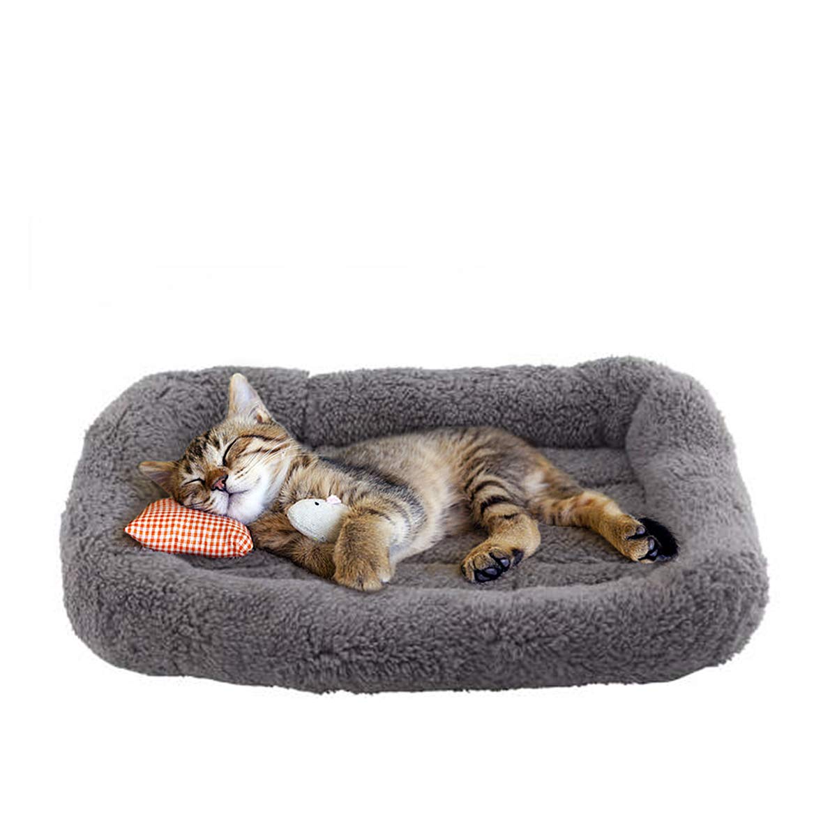 Cat Bed with Pillow, Anti Skid Bottom, Small B705