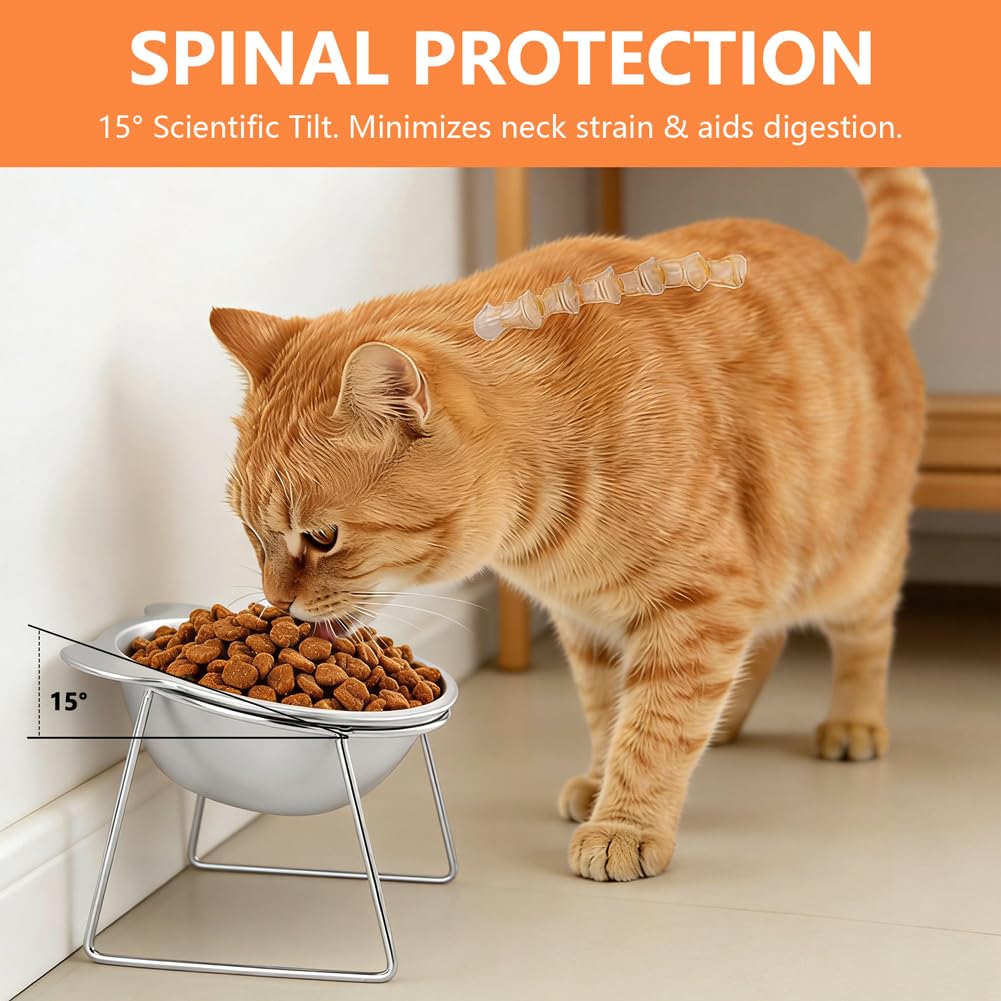 2 Pack Stainless Steel Elevated Cat Bowls Q4643