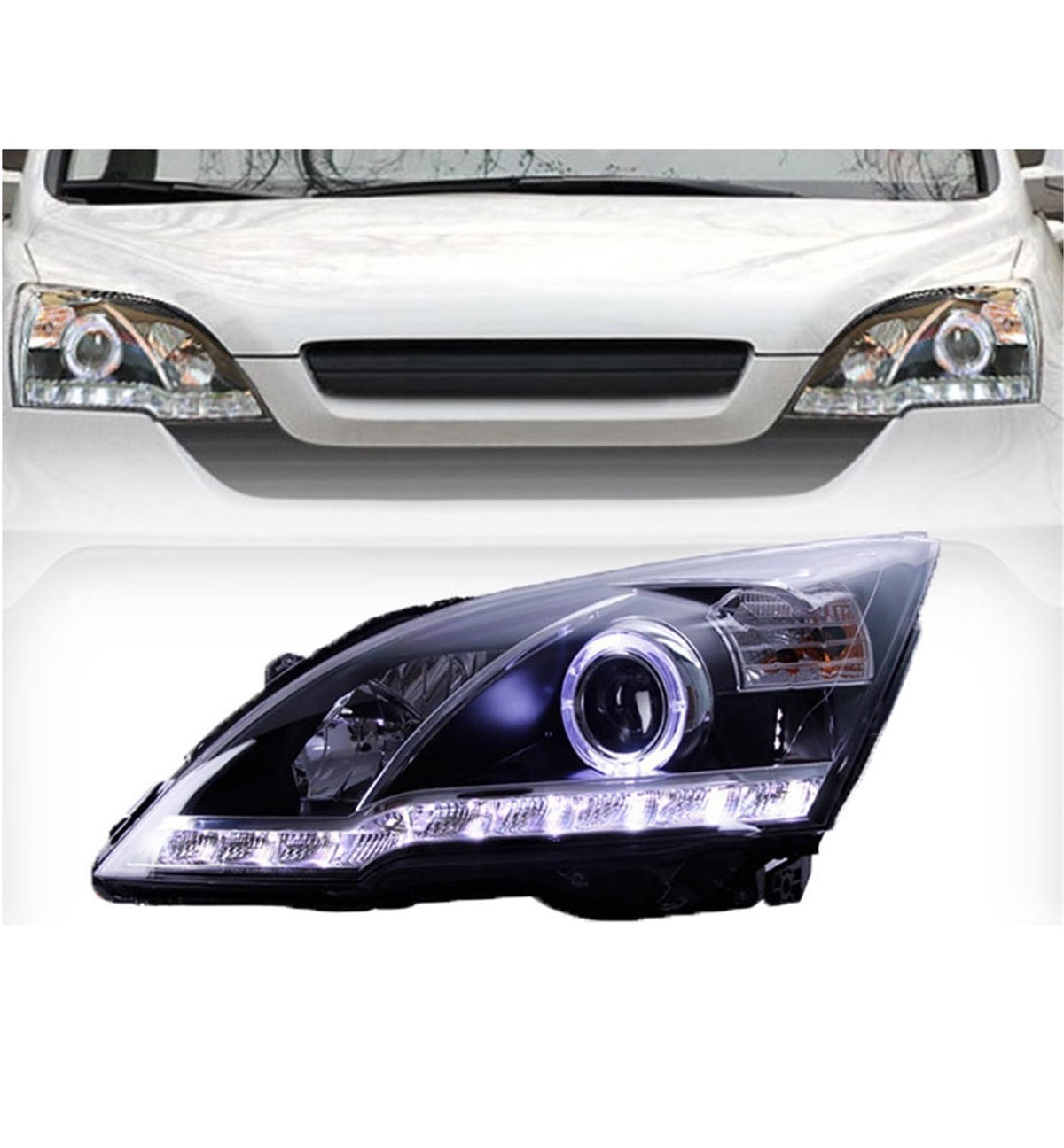 Headlight Assembly W4555