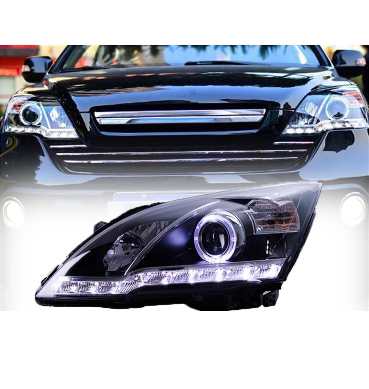 Headlight Assembly W4555