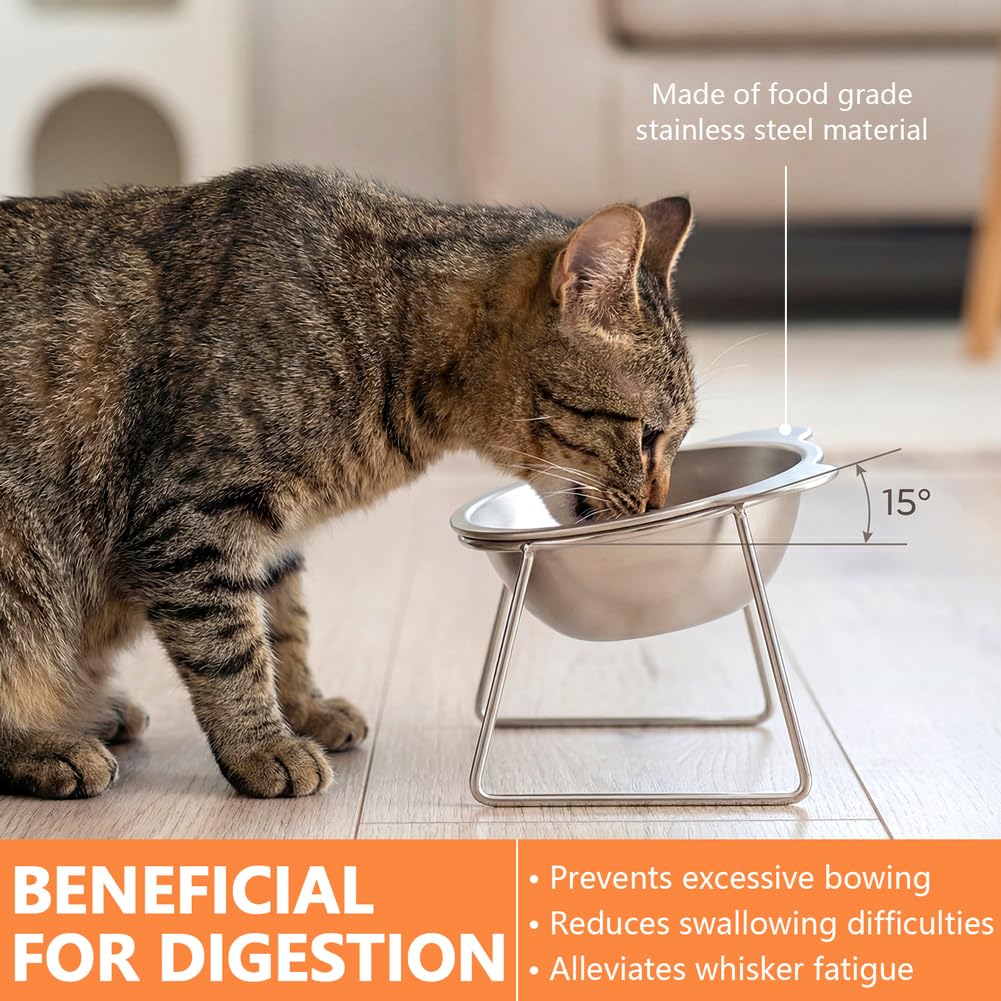 2 Pack Stainless Steel Elevated Cat Bowls Q4643