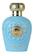 Citrus Fruity Floral Woody Eau de Parfum 3.4 Ounce V451