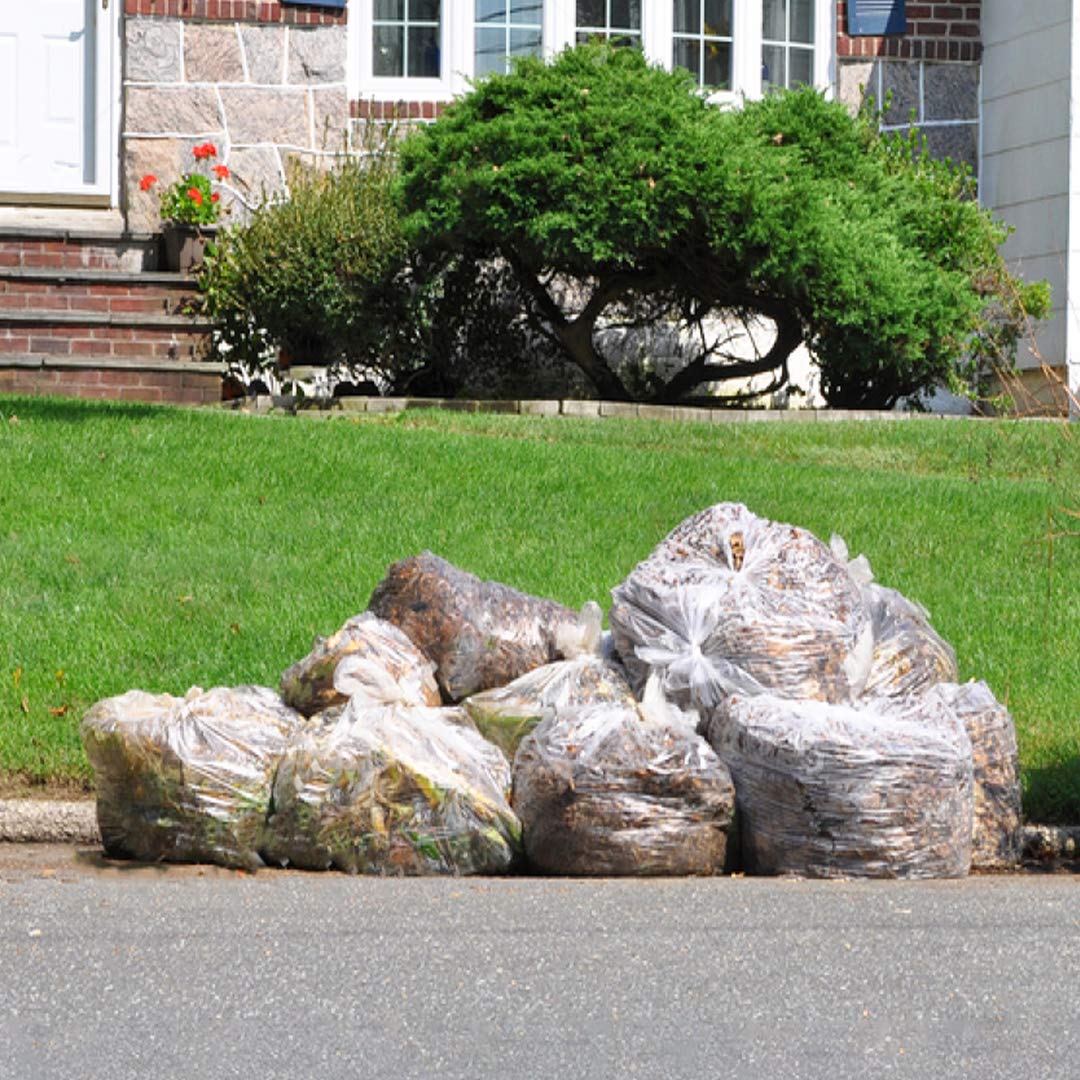95-100 Gallon Clear Heavy Duty Trash Bags I968