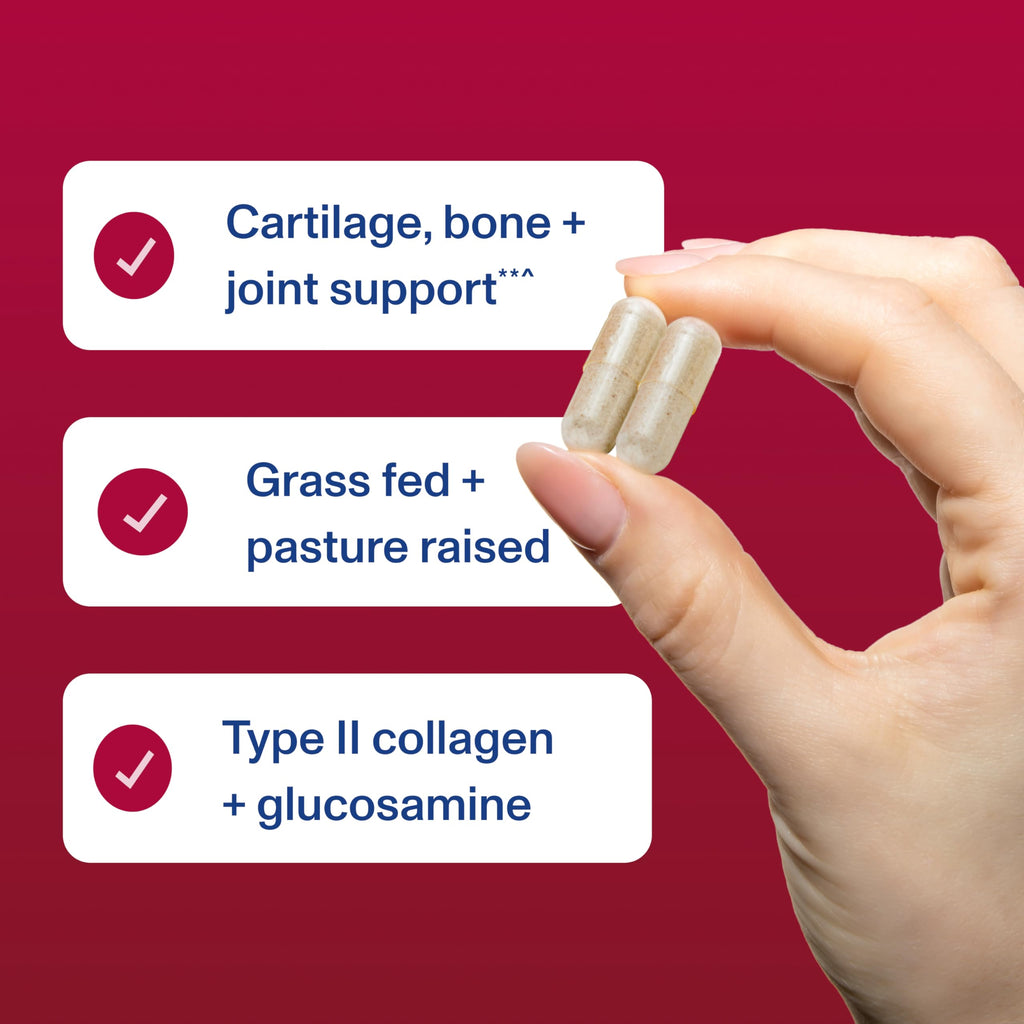 Cartilage Collagen Type II 120 Capsules C116057