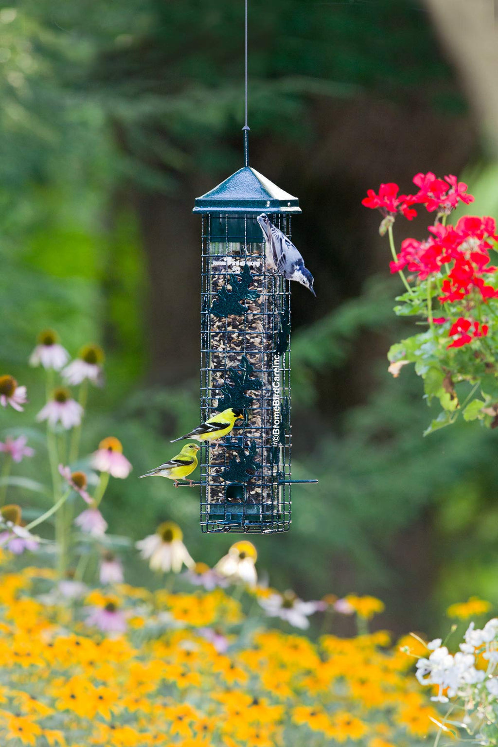Squirrel-proof Bird Feeder with 6 Feeding Ports, 3.4-pound Seed Capacity H358270