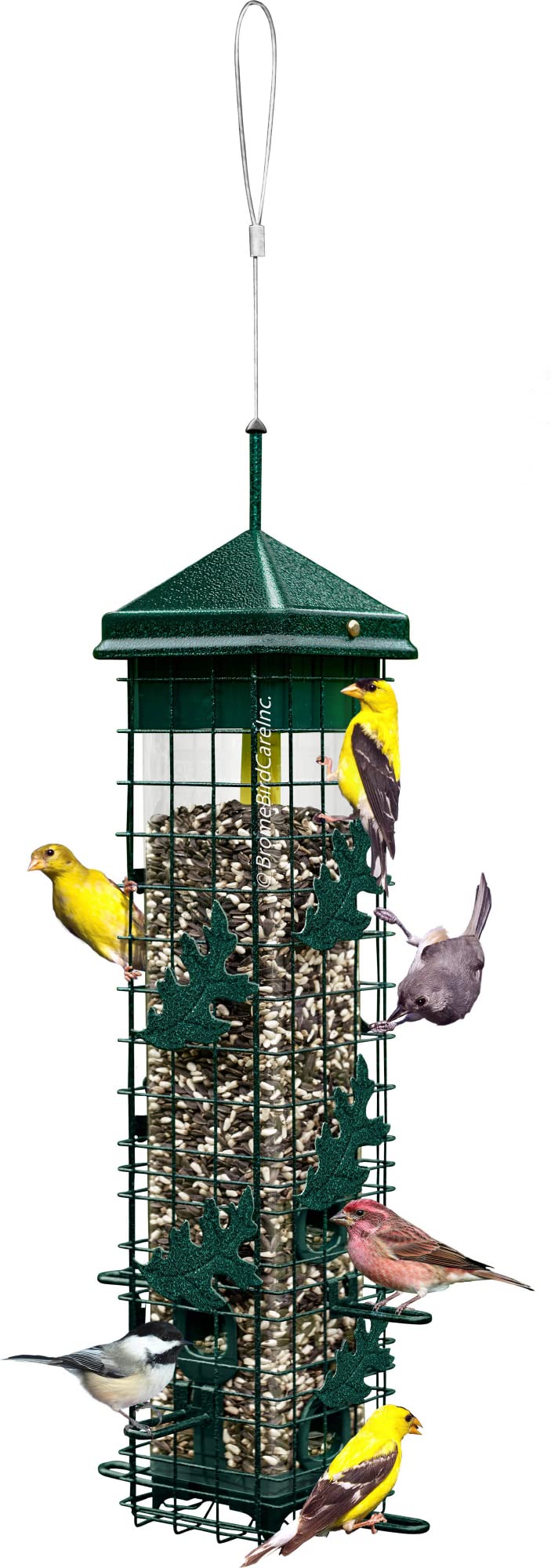 Squirrel-proof Bird Feeder with 6 Feeding Ports, 3.4-pound Seed Capacity H358270