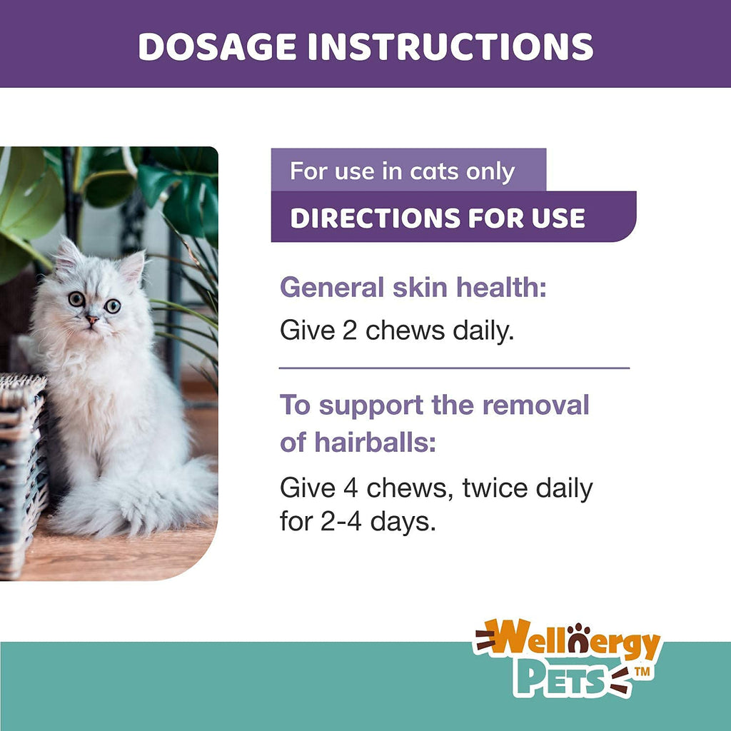 Natural Hairball Control Chews for Cats with Omega 3 6 Fatty Acids 70ct D828455