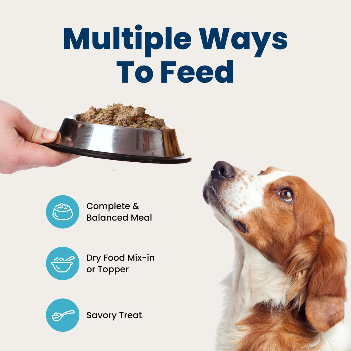 Wet Dog Food 12.5 oz 6 ct T685292