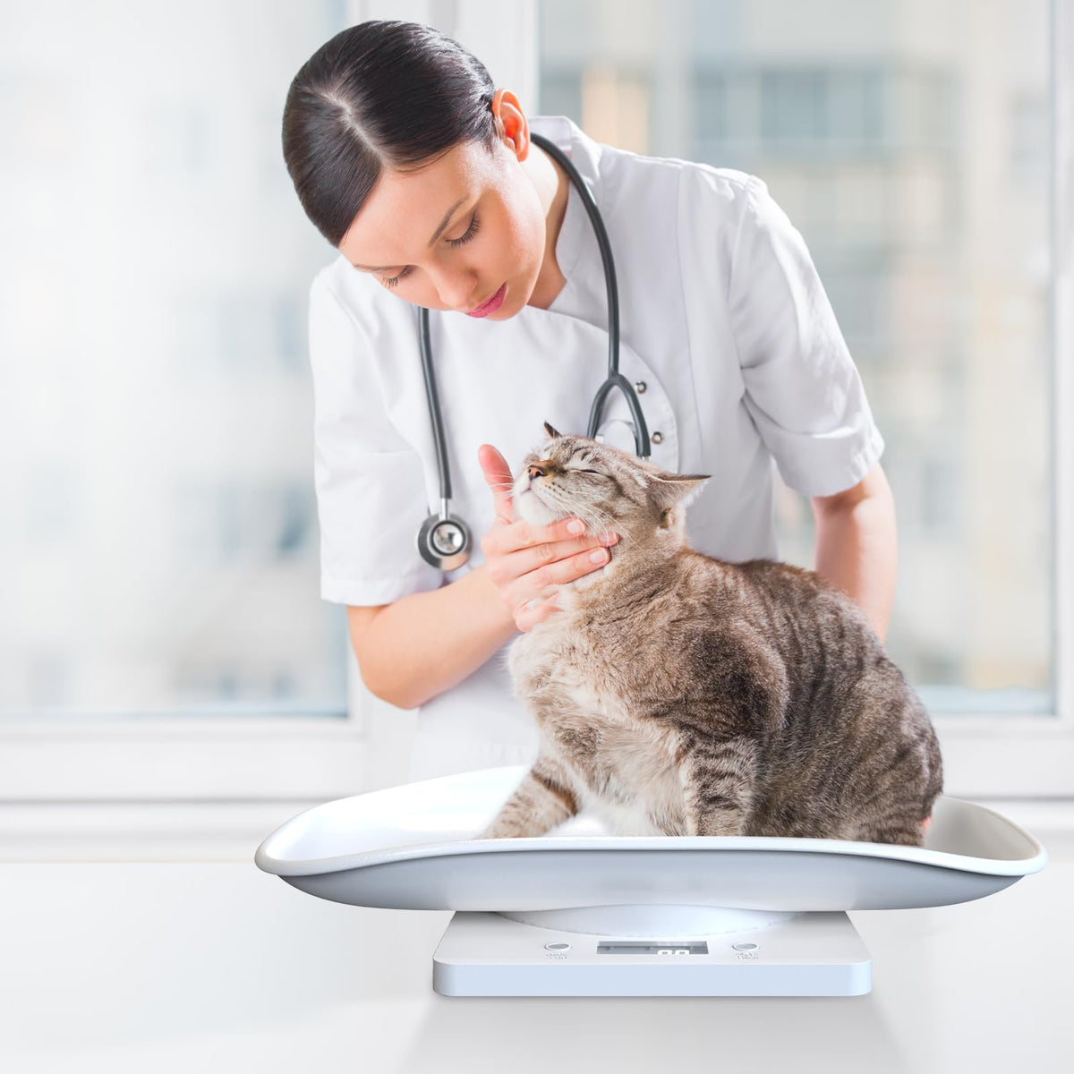 Digital Pet Scale for Small Animal, LED Display, Measures Up to 15kg, White K34947