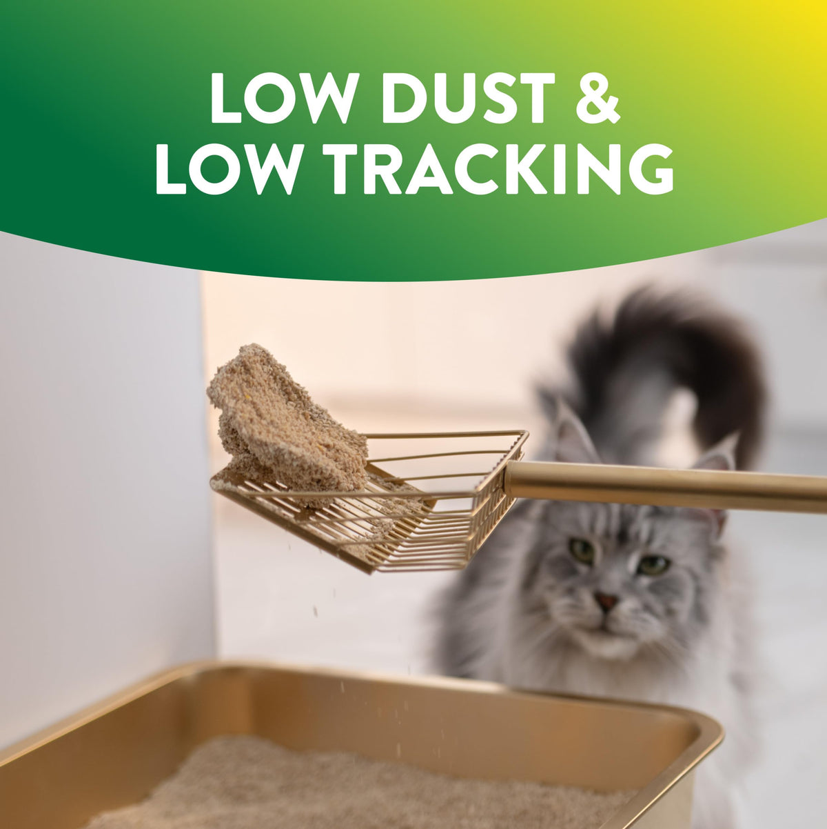 Plant-Based Clumping Cat Litter Unscented 15 Lbs E402