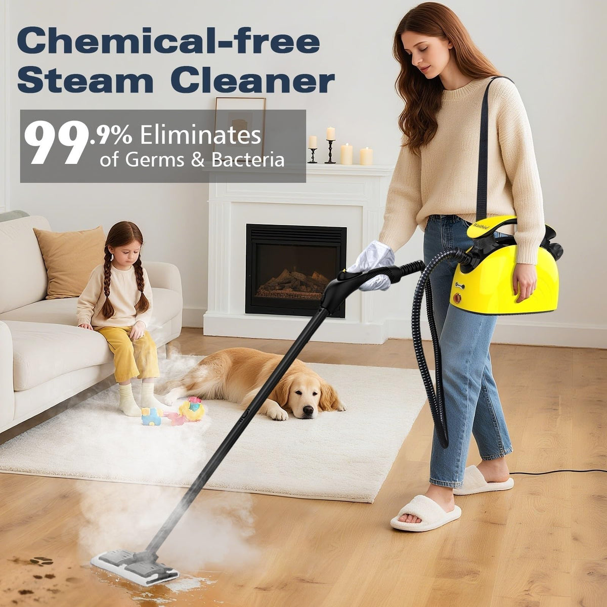 4.5 Bar 300°F Steam Cleaner V437582
