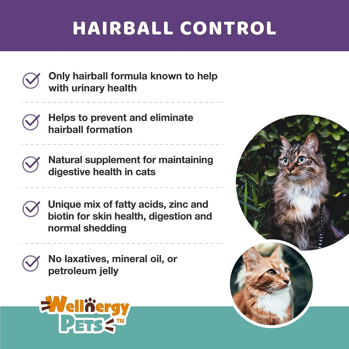 Natural Hairball Control Chews for Cats with Omega 3 6 Fatty Acids 70ct D828455