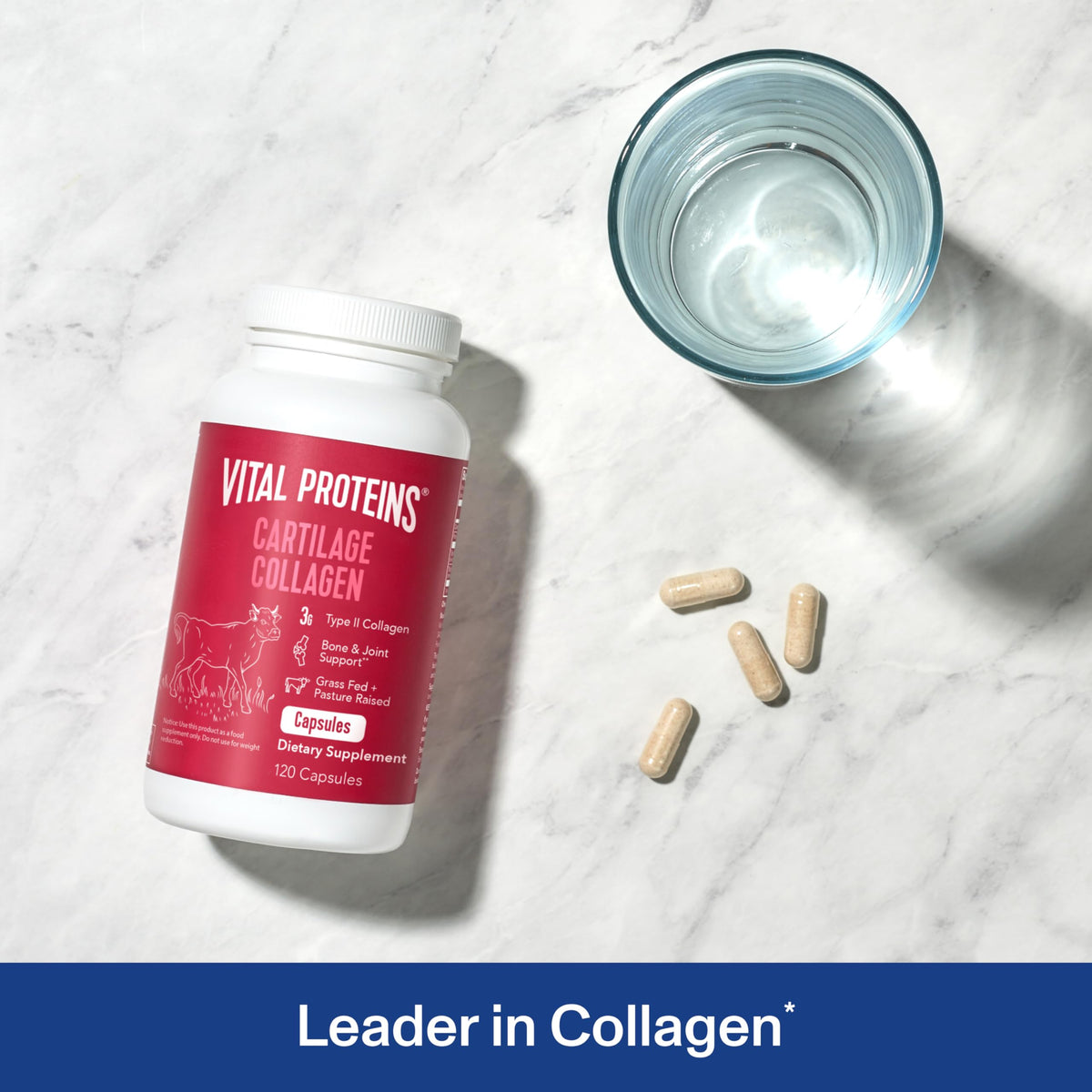 Cartilage Collagen Type II 120 Capsules C116057