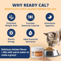 Chicken Flavor High-Calorie Cat Supplement Powder Q5540