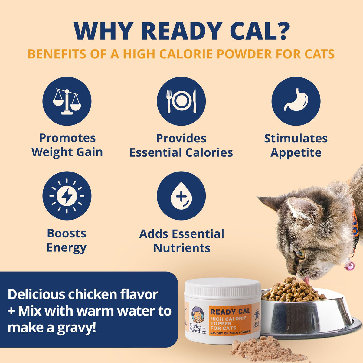 Chicken Flavor High-Calorie Cat Supplement Powder Q5540