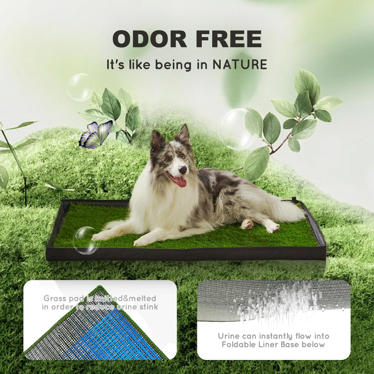 Foldable Dog Litter Box P5847