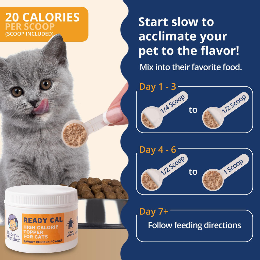 Chicken Flavor High-Calorie Cat Supplement Powder Q5540