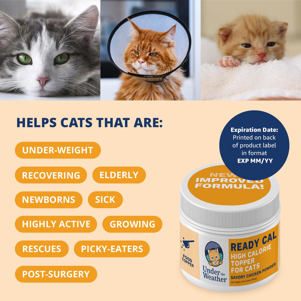 Chicken Flavor High-Calorie Cat Supplement Powder Q5540