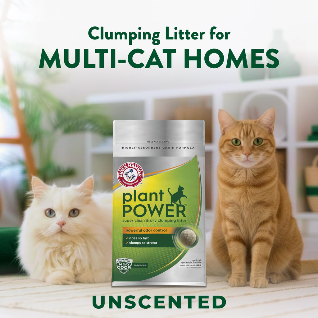 Plant-Based Clumping Cat Litter Unscented 15 Lbs E402