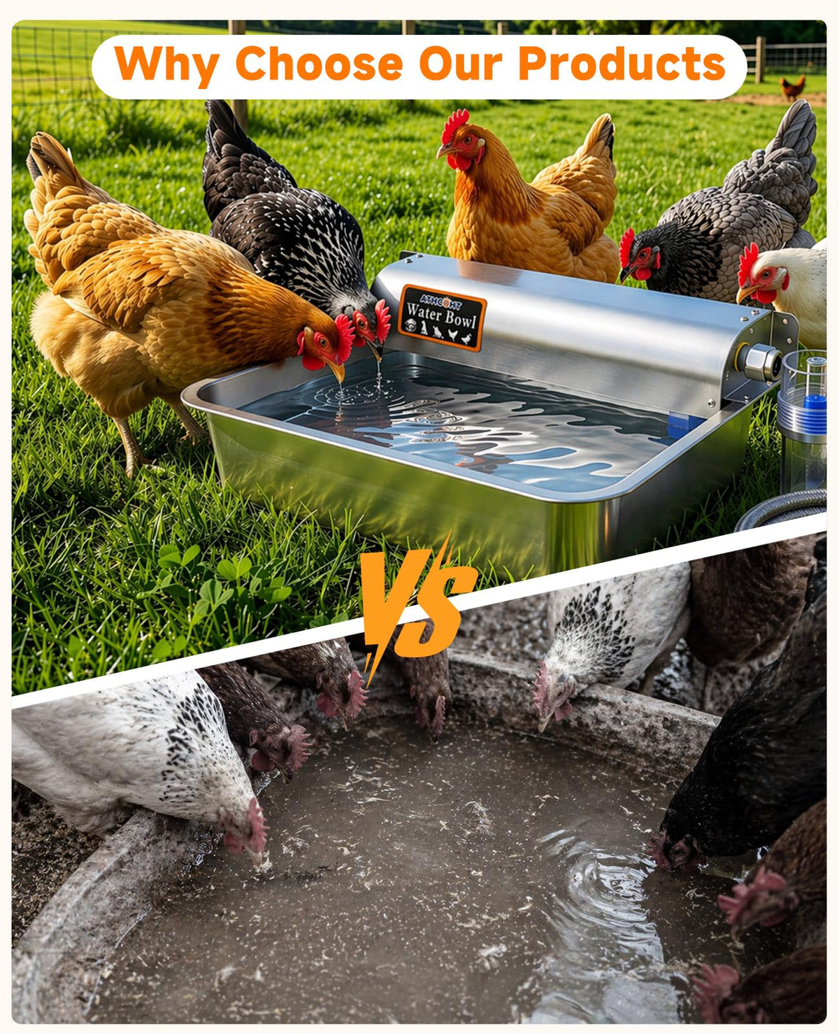 Automatic Chicken Waterer 304 Stainless Steel U3902