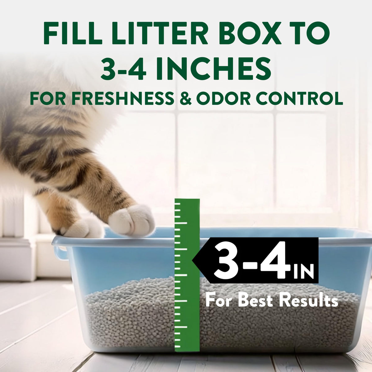 Plant-Based Clumping Cat Litter Unscented 15 Lbs E402