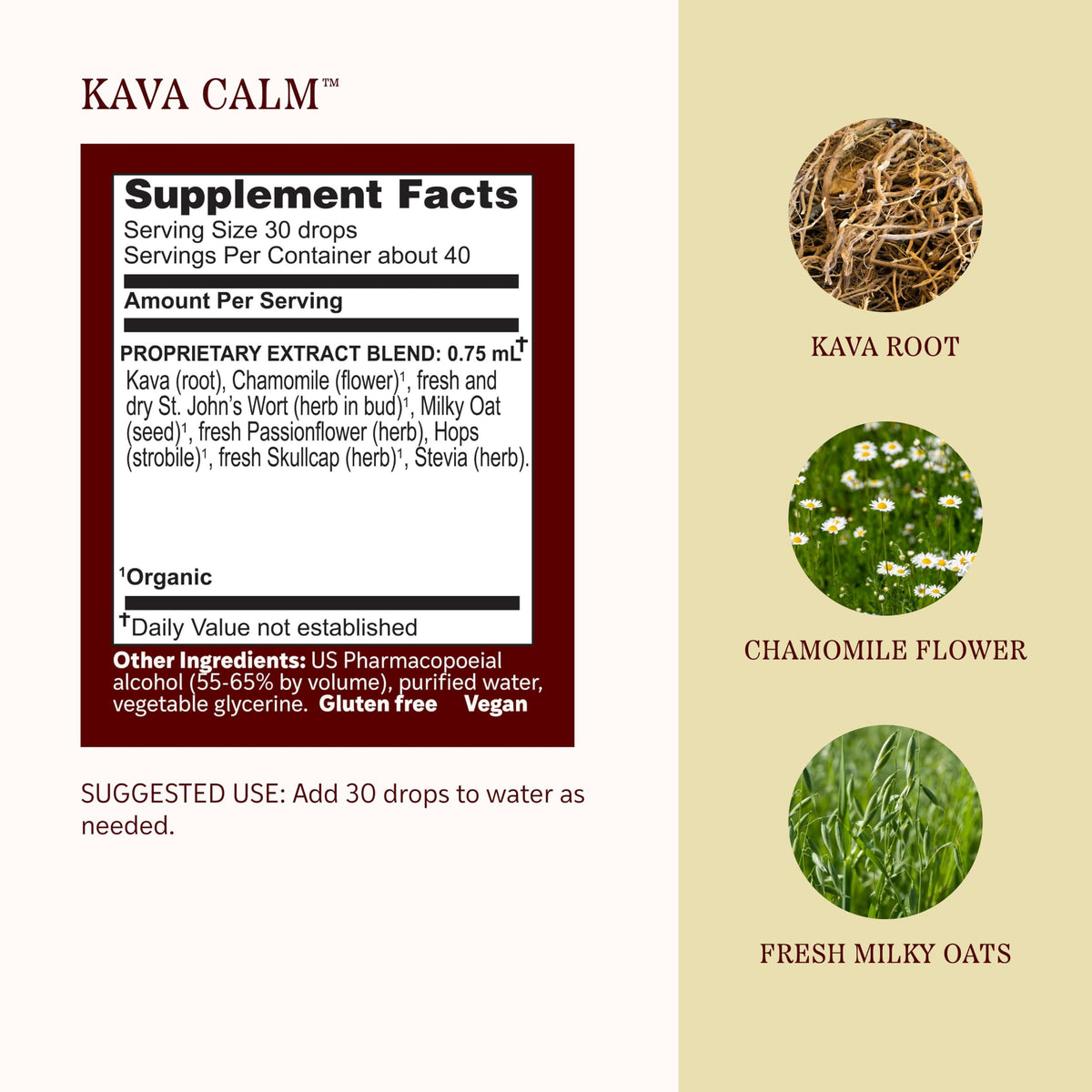 Kava Calm Liquid Extract 1 fl oz V70051