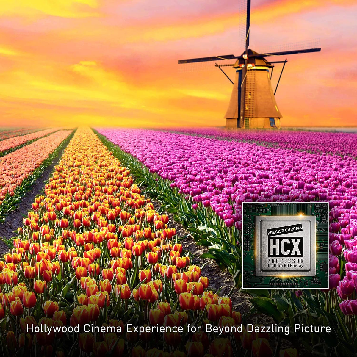 Ultra HD Blu-ray Player U116