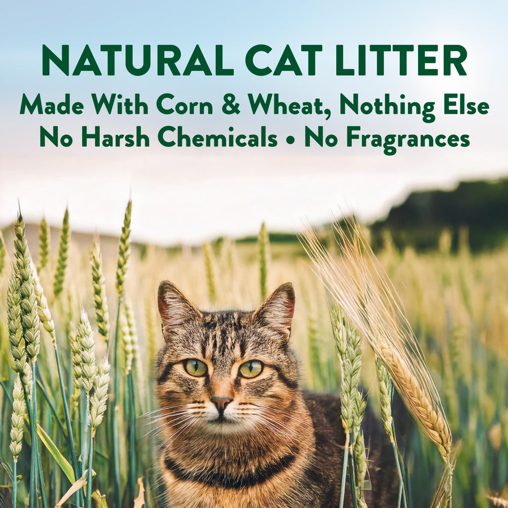 Plant-Based Clumping Cat Litter Unscented 15 Lbs E402