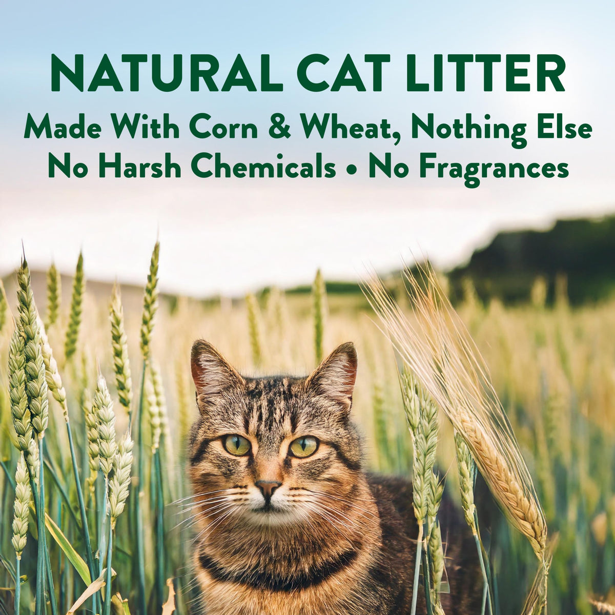 Plant-Based Clumping Cat Litter Unscented 15 Lbs E402
